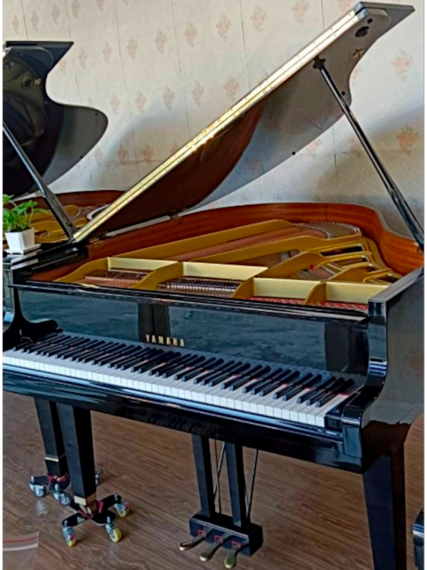 YAMAHA GH1平台三角鋼琴💥音樂教室推薦款💥日本原裝琴，極少彈
