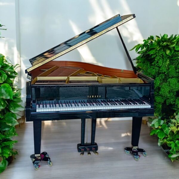 YAMAHA GH1平台三角鋼琴💥音樂教室推薦款💥日本原裝琴，極少彈
