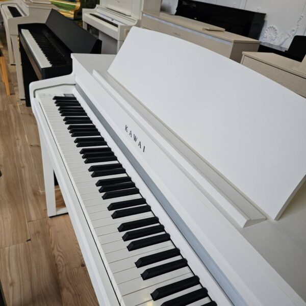 KAWAI CA4900GP