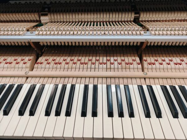 🎀KAWAI RX-5 日本原裝演奏型三角鋼琴