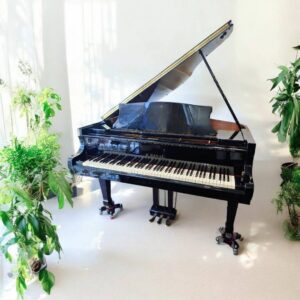 286053 🎀 KAWAI RX-2平台二號鋼琴