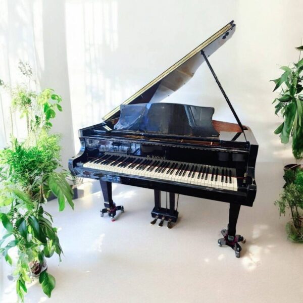 🎀 KAWAI RX-2平台二號鋼琴