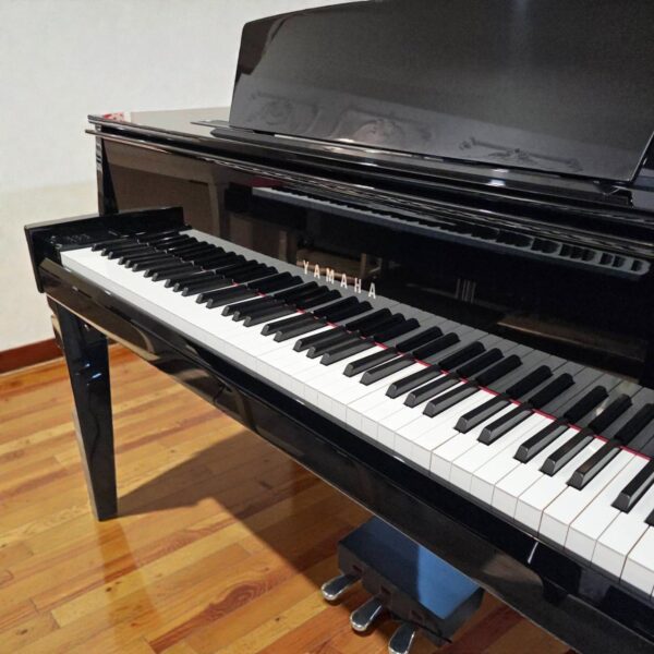 transparent-Photoroom (10) YAMAHA N1